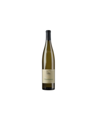 CHARDONNAY POLENCIC (2020)| ML. 750