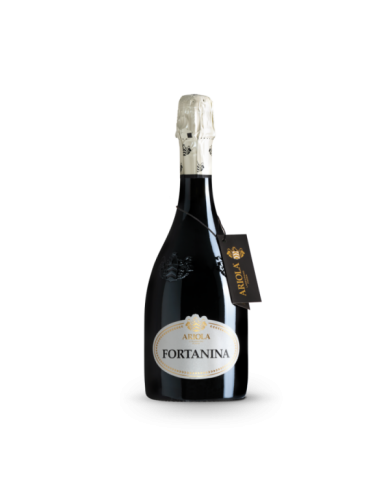 FORTANINA FRIZZANTE ARIOLA| ML. 750