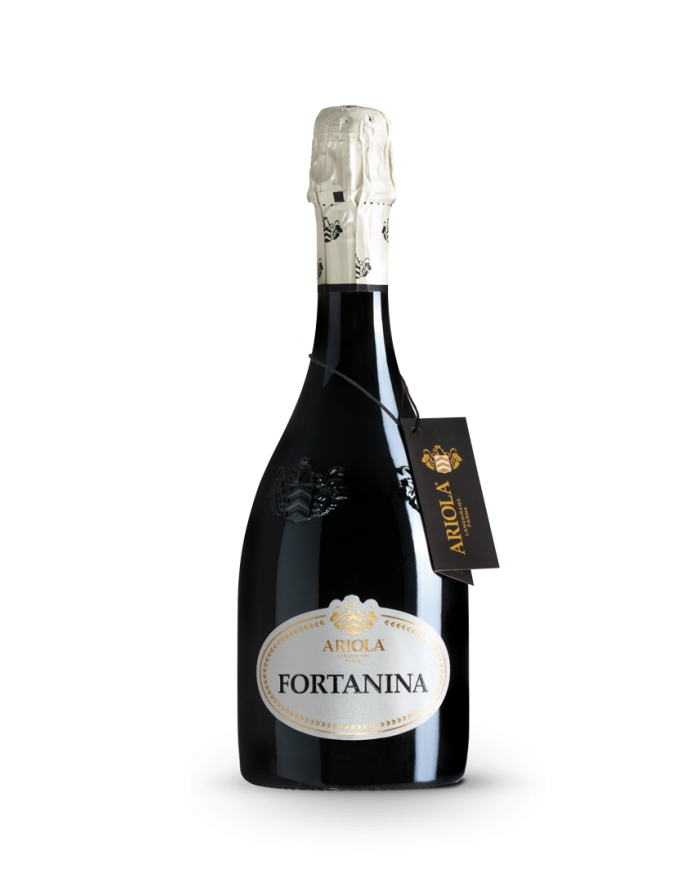 FORTANINA FRIZZANTE ARIOLA| ML. 750