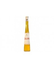 CREME DE CASSIS DE DIJON BRIOTTET| ML. 700