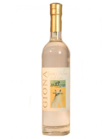GRAPPA DI MALVASIA GIONA| ML. 500
