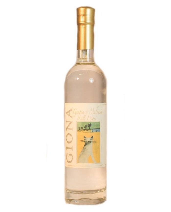 GRAPPA DI MALVASIA GIONA| ML. 500