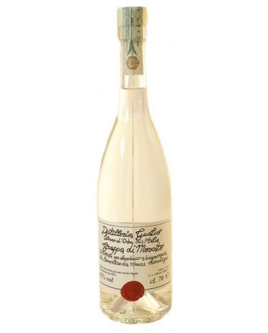 GRAPPA DI MOSCATO GUALCO| ML. 700