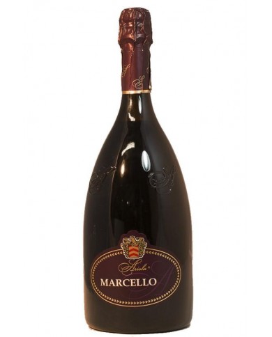 LAMBRUSCO FRIZZANTE MARCELLO ARIOLA| ML. 1500 Magnum