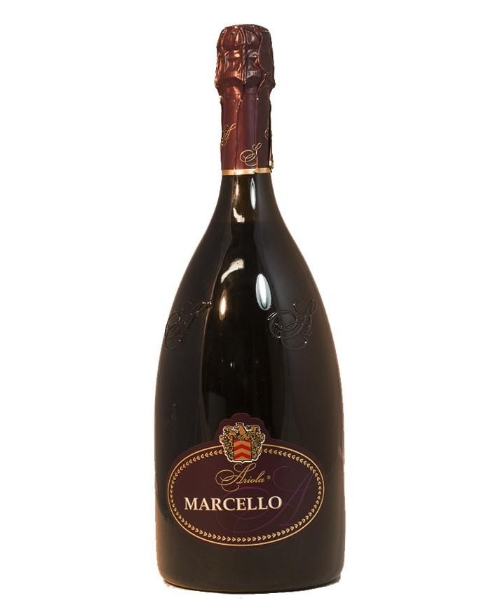 LAMBRUSCO FRIZZANTE MARCELLO ARIOLA| ML. 1500 Magnum