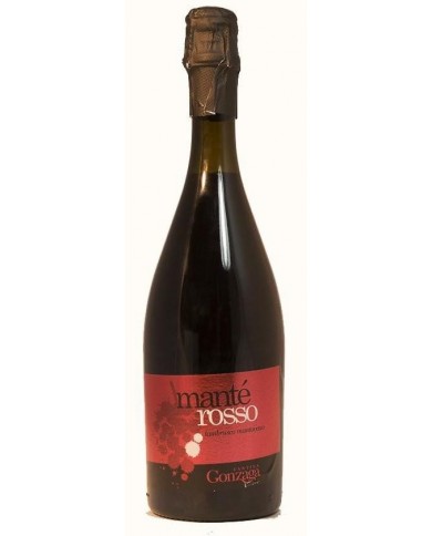 LAMBRUSCO MANTOVANO MANTE' ROSSO GONZAGA| ML. 750