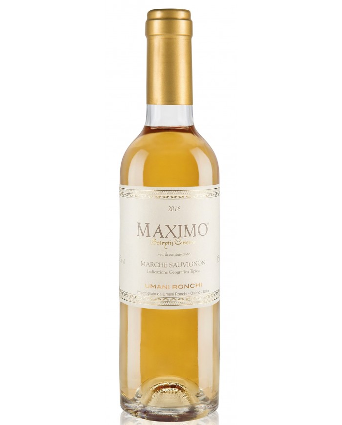 MAXIMO UMANI RONCHI (2003)| ML. 375