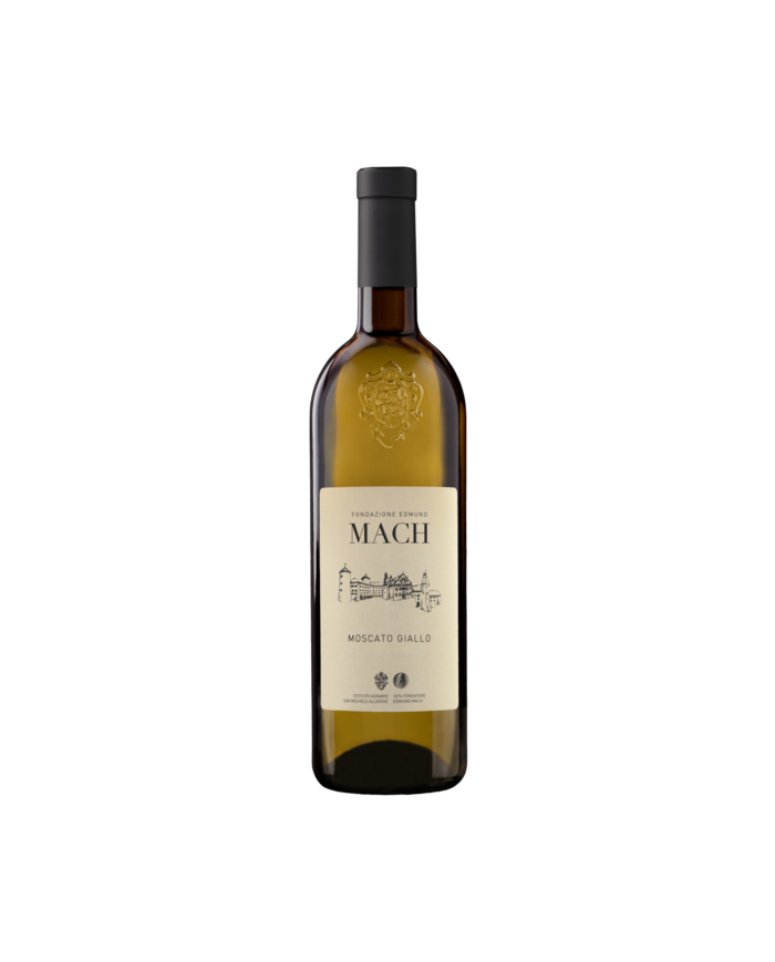 MOSCATO GIALLO IST. AGR. SAN MICHELE (2018)| ML. 750