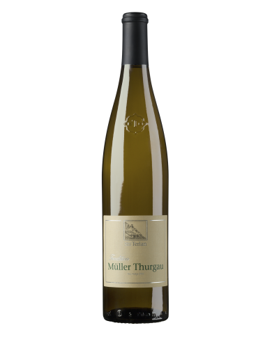 MULLER THURGAU TERLANO (2020)| ML. 750