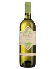 ROSSJ BASS GAJA (2019)| ML. 750