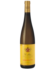 SAUVIGNON THE WINE COLLECTION SAN MICHELE APPIANO (2017)| ML. 750