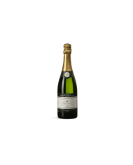 FRANCIACORTA CA' DEL BOSCO MILLESIMATO SATEN (2016)| ML. 1500 Magnum| Astuccio