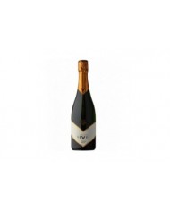 SPUMANTE LEVII EXTRA BRUT MILLESIMATO (2017)| ML. 750