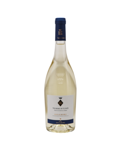 VERMENTINO DI BOLGHERI ANTINORI (2020)| ML. 750
