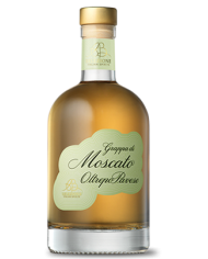 GRAPPA TIGNANELLO ANTINORI| ML. 500| Astucciato