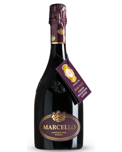 LAMBRUSCO FRIZZANTE MARCELLO ARIOLA| ML. 750