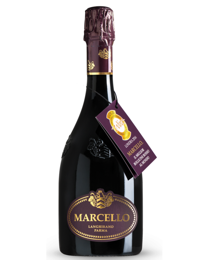 LAMBRUSCO FRIZZANTE MARCELLO ARIOLA| ML. 750