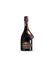 BARDOLINO MENEGOTTI (2020)| ML. 750