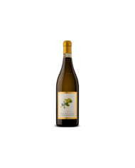 MARSALA VERGINE 1999 ALAGNA| ML. 750| Astucciato