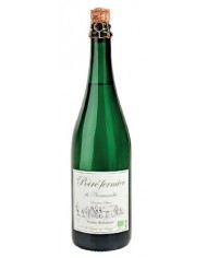 SPUMANTE COLLI VICENTINI TULLIO I^ CUVEE DEL FONDATORE BRUT MILLESIMATO (2020)| ML. 750