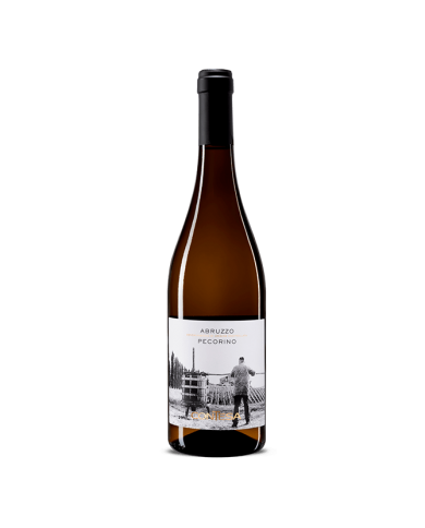 PECORINO D'ABRUZZO CONTESA (2021)| ML. 750