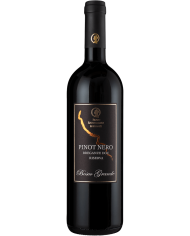 MERLOT BOSCO GRANDE BREGANZE (2016)| ML. 750