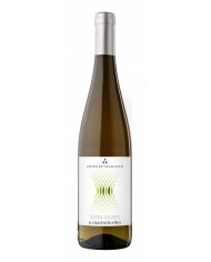 MULLER THURGAU MARTINI & SOHN (2021)| ML. 750