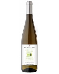 MULLER THURGAU MARTINI & SOHN (2021)| ML. 750