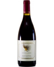 CIVITELLA ROSSO MOTTURA ,  BIO (2020)| ML. 750
