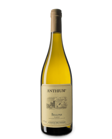 ANTHIUM BELLONE BIANCO CASALE DEL GIGLIO (2021)| ML. 750