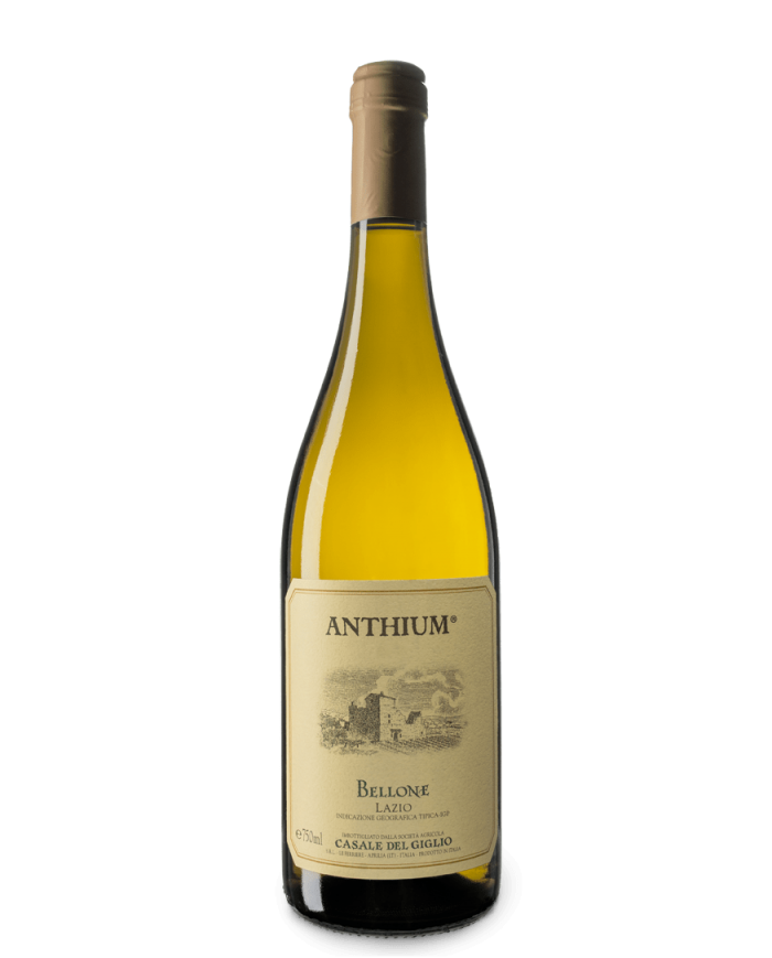 ANTHIUM BELLONE BIANCO CASALE DEL GIGLIO (2021)| ML. 750