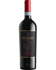 AMARONE DELLA VALPOLICELLA CLASSICO ALLEGRINI (2018)| ML. 750