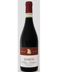 ROVERONE RISERVA MOMBRIONE NETTARE DEI SANTI (2019)| ML. 750