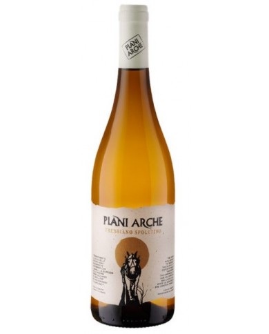 TREBBIANO TRONCAFUGA PLANI ARCHE (2021)| ML.750