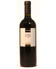 SAGRANTINO DI MONTEFALCO ROCCA DI FABBRI (1998)| ML. 1500 Magnum