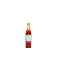 ARMAGNAC BAS DOMAINE JOY XO 10 ans CARAFE| ML. 700