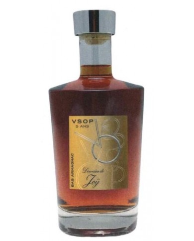 ARMAGNAC BAS DOMAINE JOY VSOP 5 ans CARAFE| ML. 700